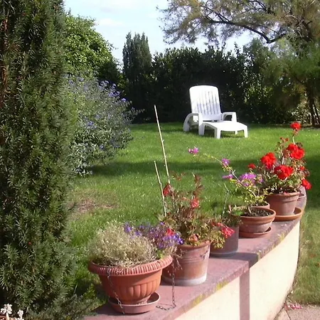 Bed & Breakfast Vignoble